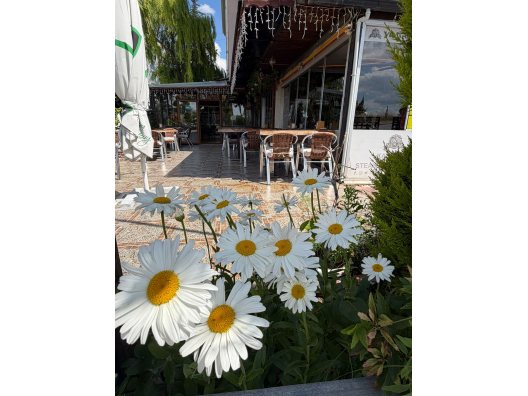 Uşak'ta Akşam Yemeği İçin Restoran Seçerken Nelere Dikkat Edilmeli? - YUMAK RESTAURANT UŞAK